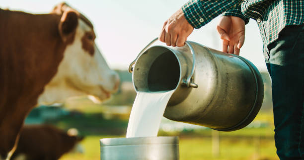 Kas yra pieno ūkiai?