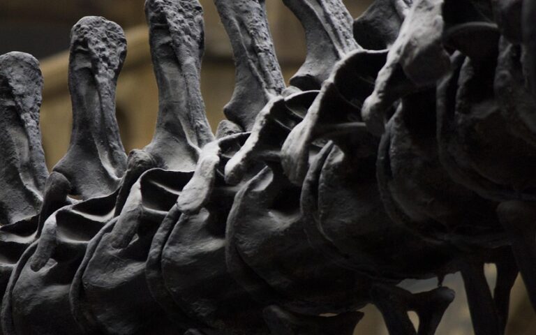 Kaip sėkmingai organizuoti mokyklos parodą: praktinis vadovas mokytojams ir mokiniams