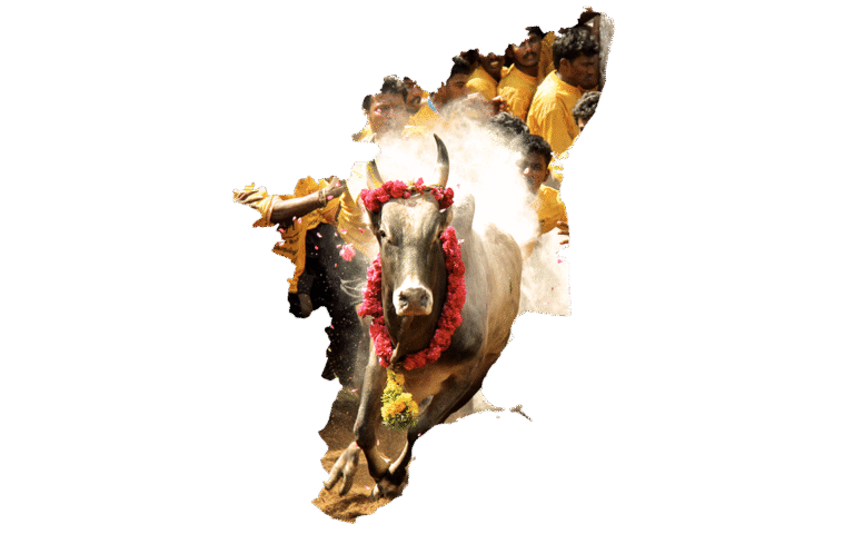 Kaip efektyviai organizuoti bendruomenės renginius Vilkijoje: praktinis vadovas vietos aktyvistams