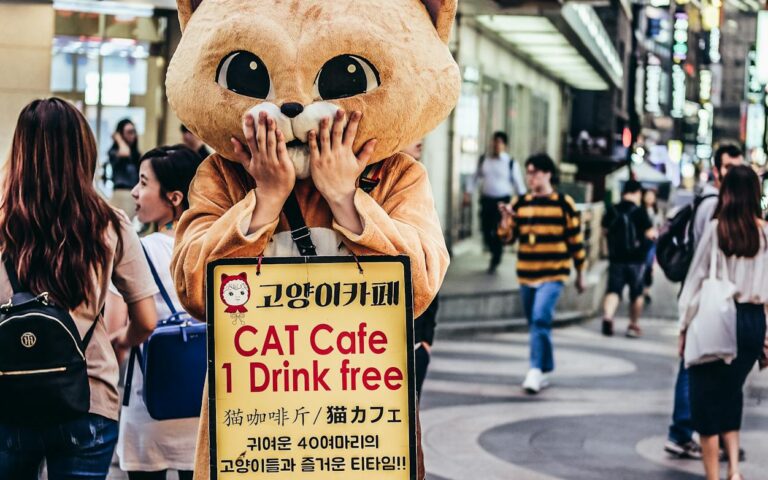 Kaip efektyviai sekti ir interpretuoti vietinius įvykius Vilkijoje: praktinis gyventojų ir verslininkų vadovas