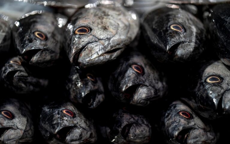 Vilkijos turgavietės istorija: nuo senovinių prekymečių iki šiandieninės bendruomenės susibūrimo vietos