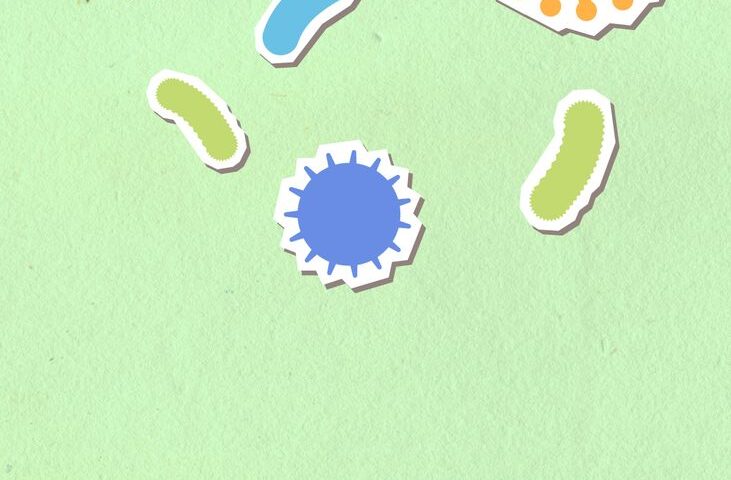 Kaip atkurti žarnyno mikroflorą po antibiotikų kurso: 7 moksliškai pagrįsti žingsniai